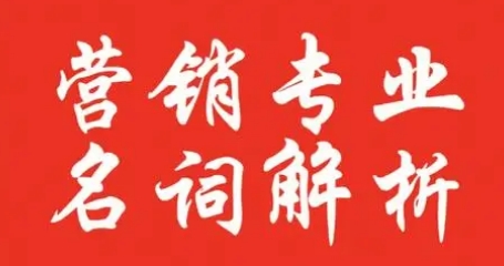 消费者洞察与市场分析